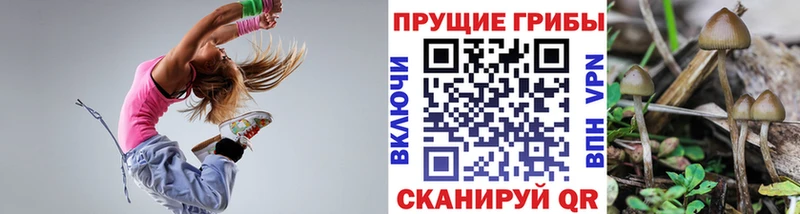 наркота  Дудинка  Галлюциногенные грибы Magic Shrooms 